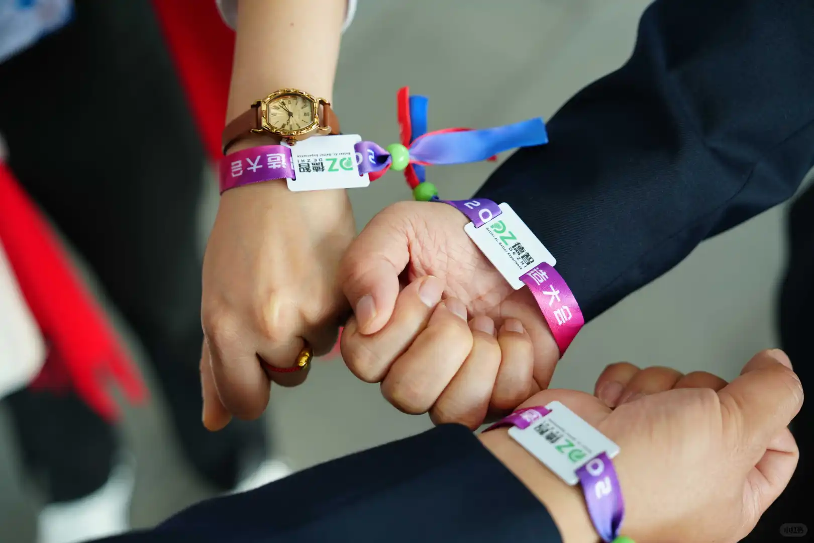 德智品牌首次荣获第十一届 “红帆奖”