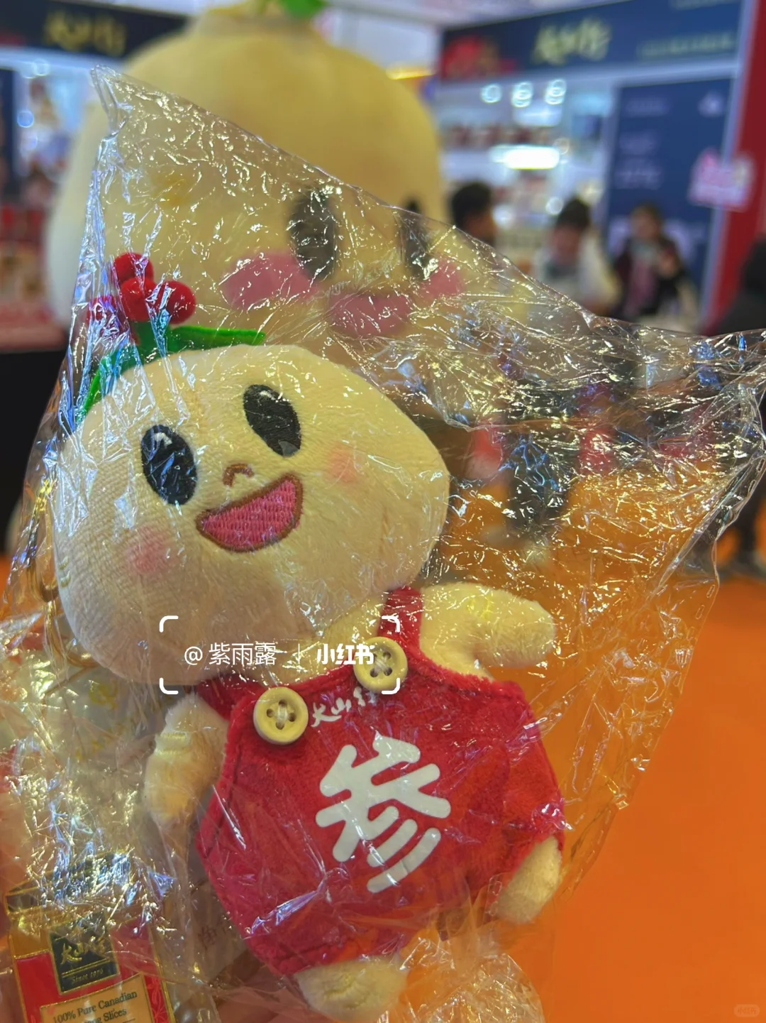 国家会展｜进博优品交易会