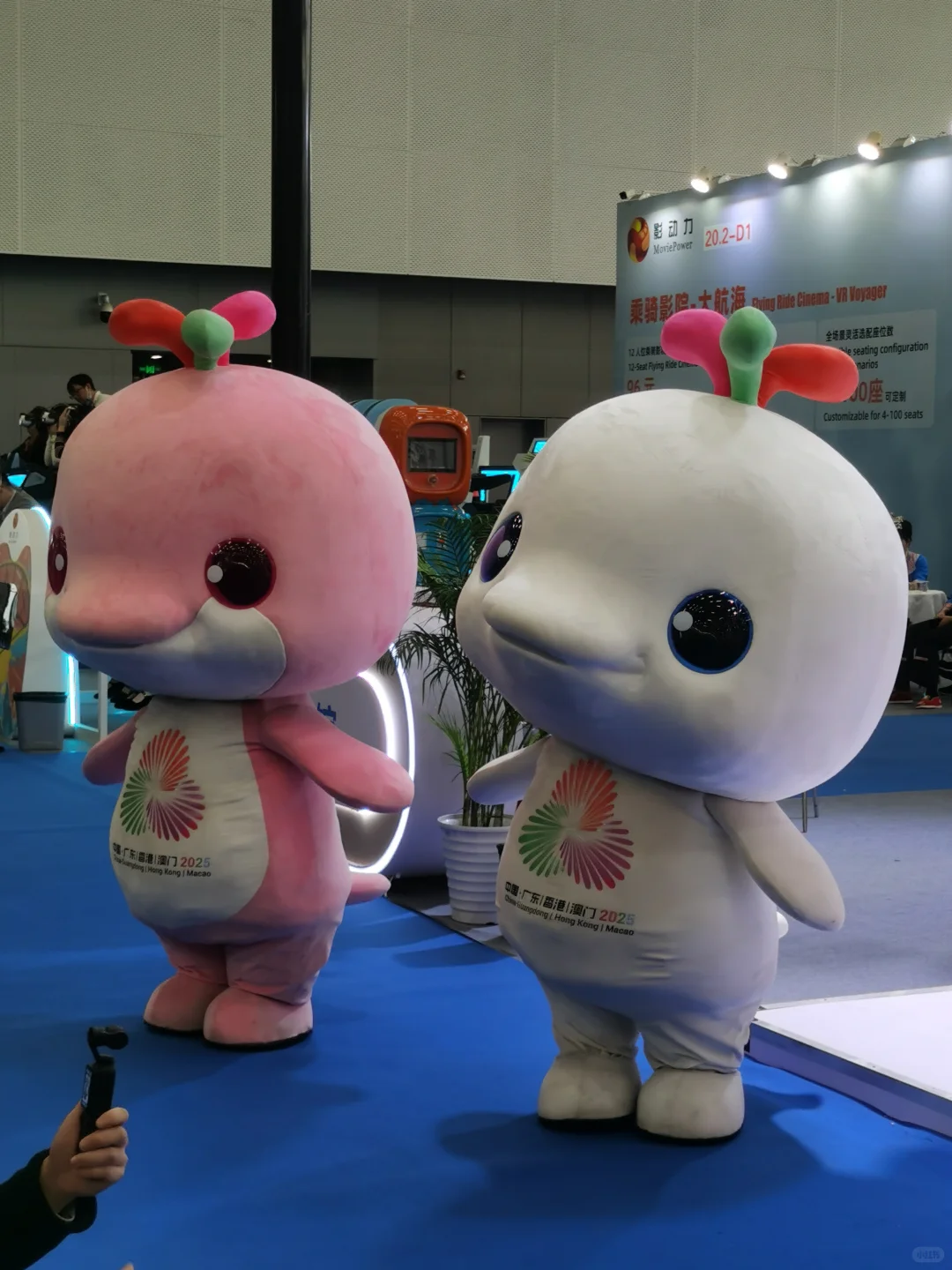 大湾鸡在文交会的第一天photos