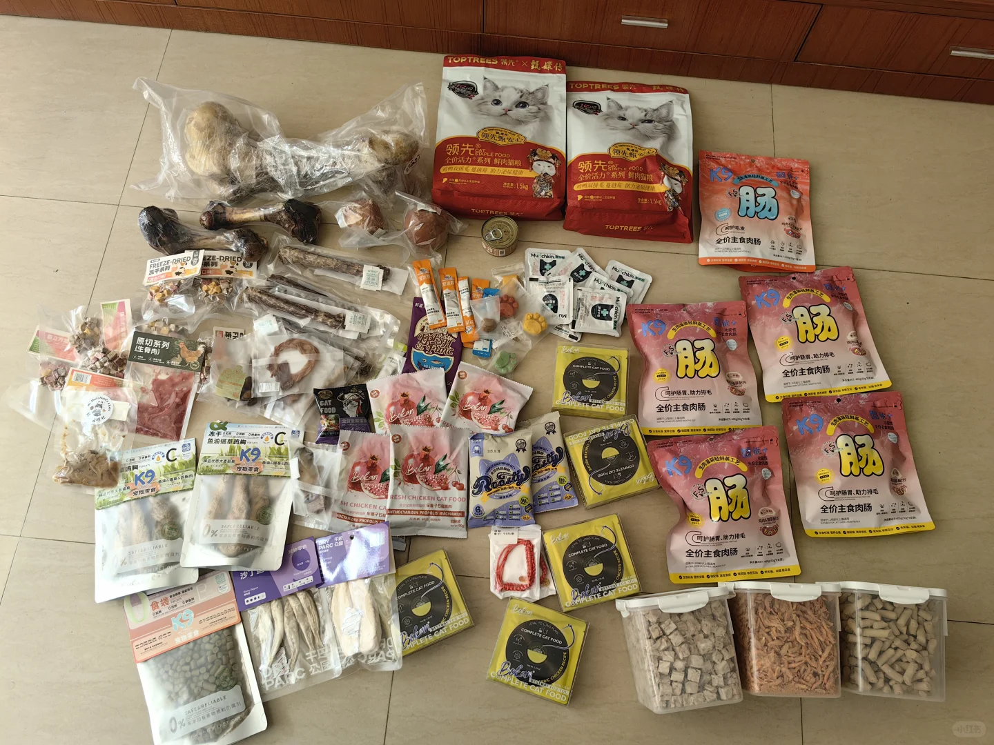 论逛展得带大箱子