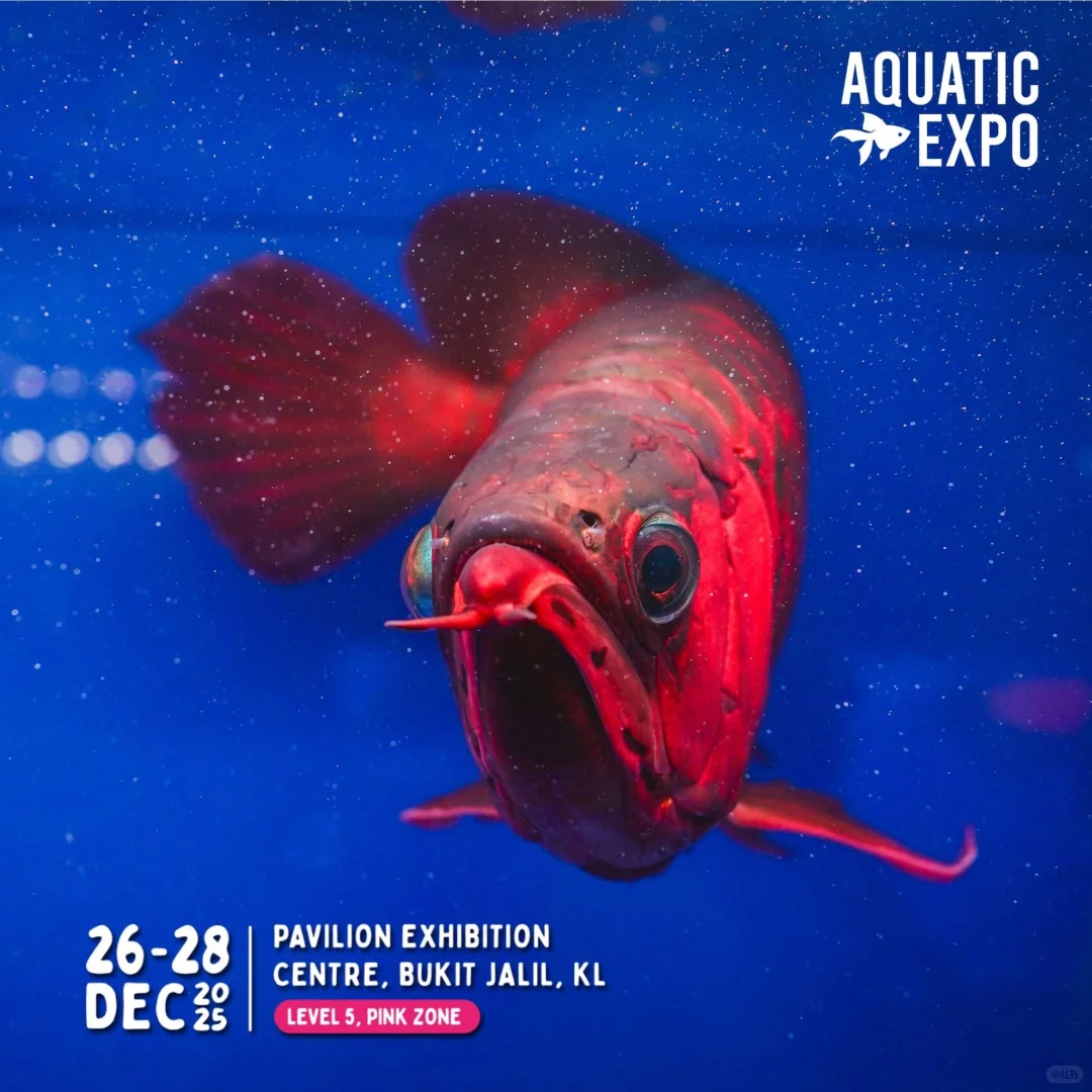 ?? 2025超大型水族展