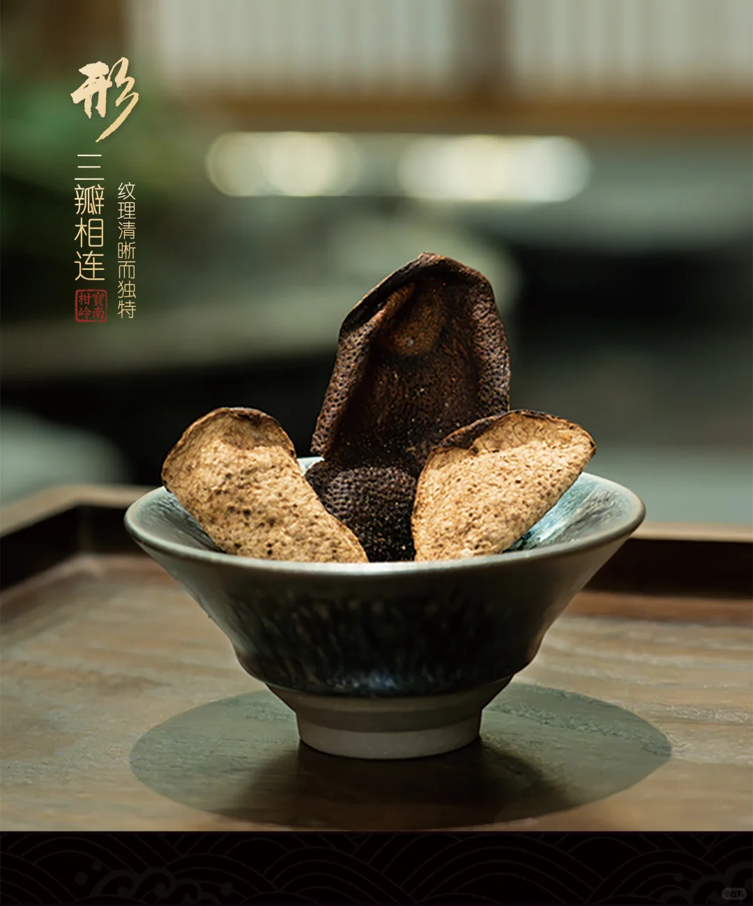 广州琶洲茶博会（陈皮展）