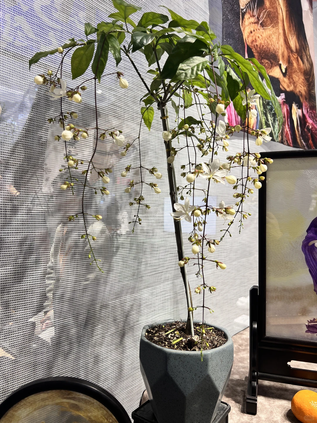 第二自然匠人展