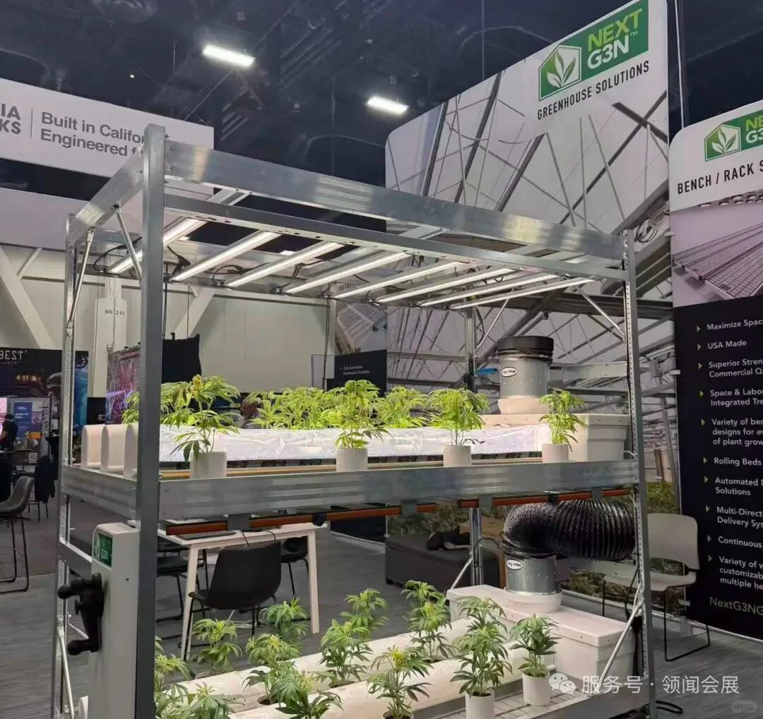 2026美国顶流工业大麻展?中国企业出海必冲