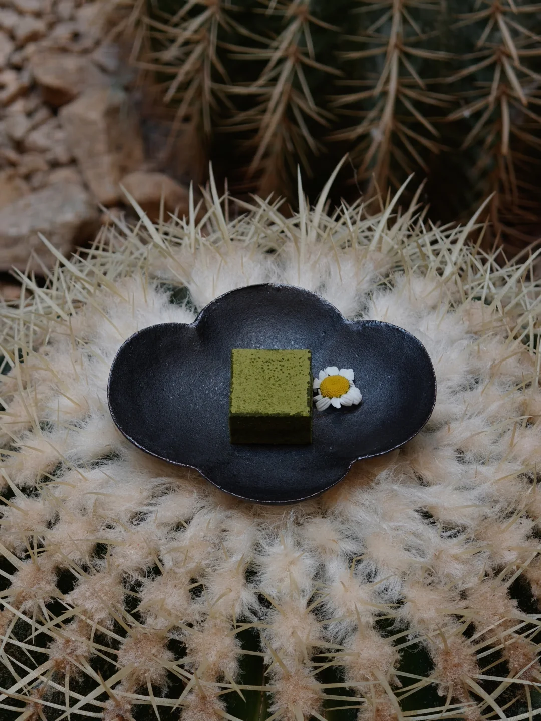 一旦踏入 Aman就会深陷其中