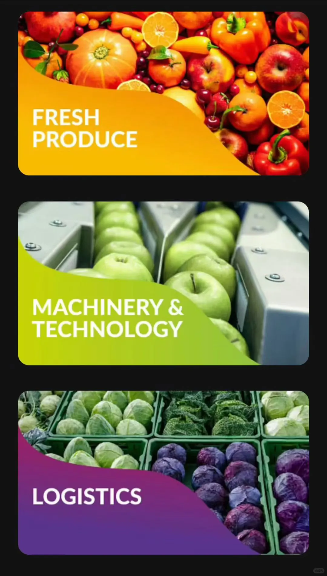 全球果蔬行业风向标——柏林国际果蔬展览会