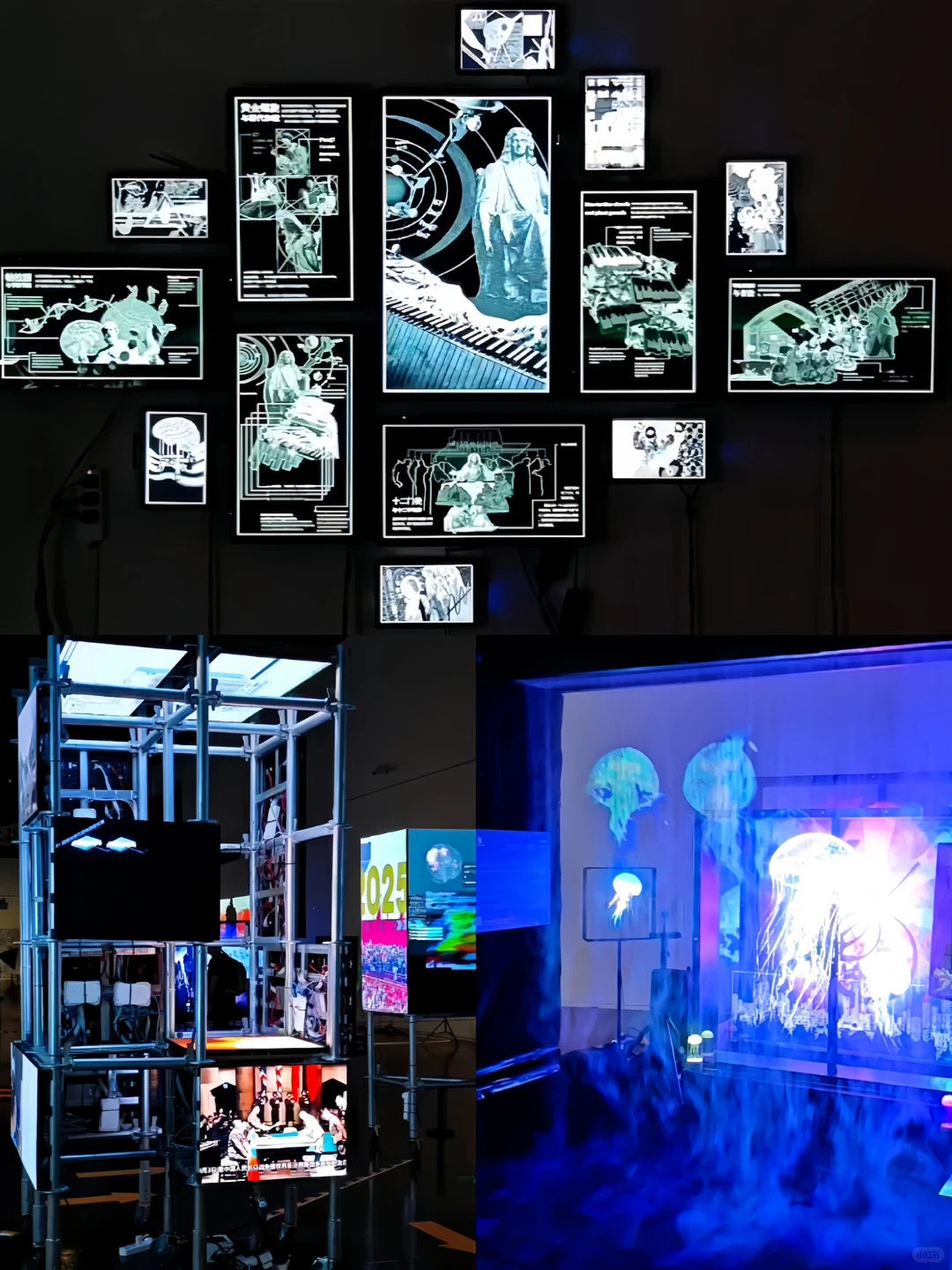 上海免费大展装置篇❗在数字光影中看见生命