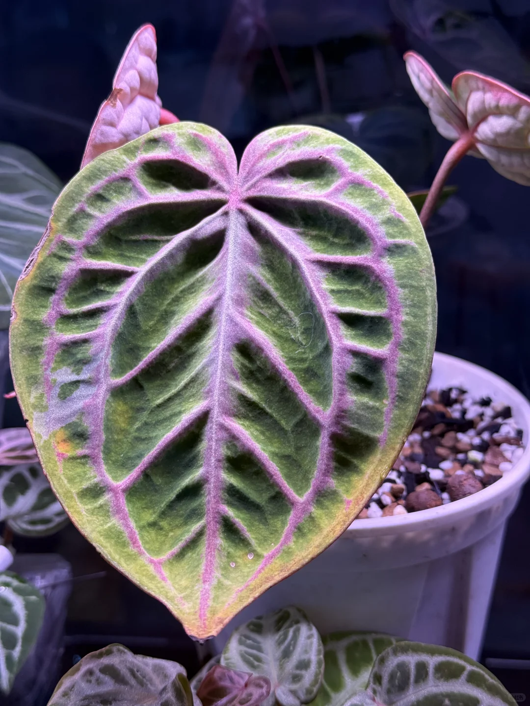 无锡展会上的一点点