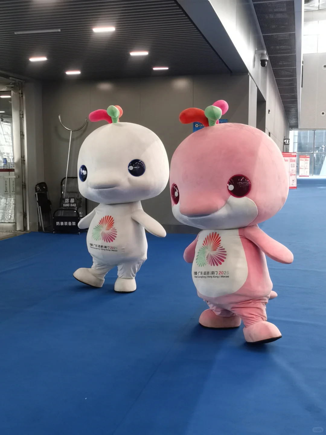 大湾鸡在文交会的第一天photos