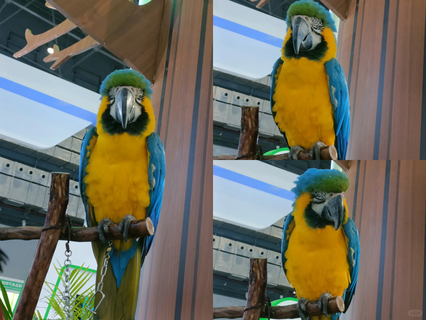 存档|2025海口中国国际旅游交易会