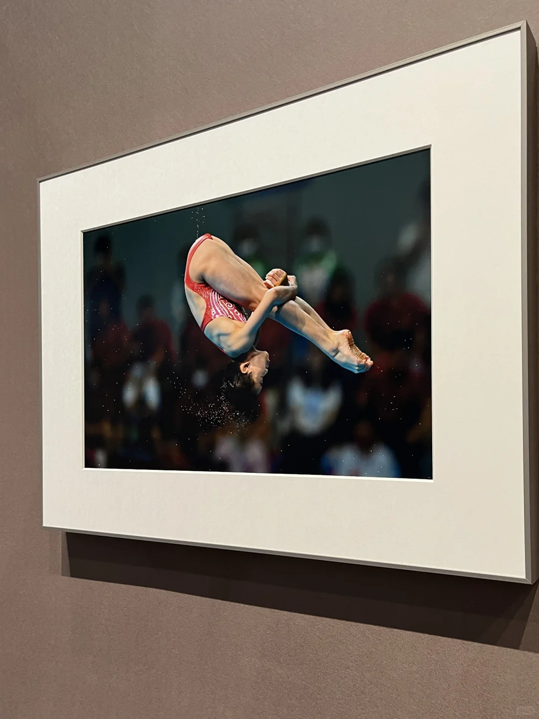 深圳美术馆11月|秋日里的8大新展?