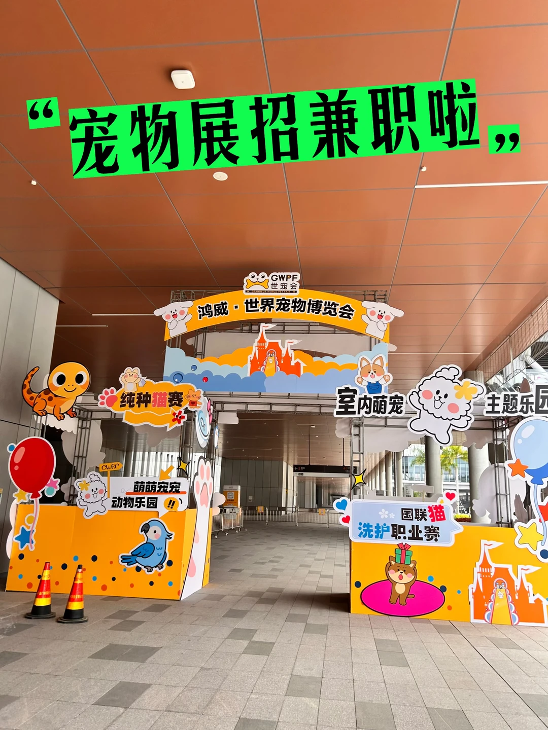 猫倍思厦门宠物展大量招兼职啦