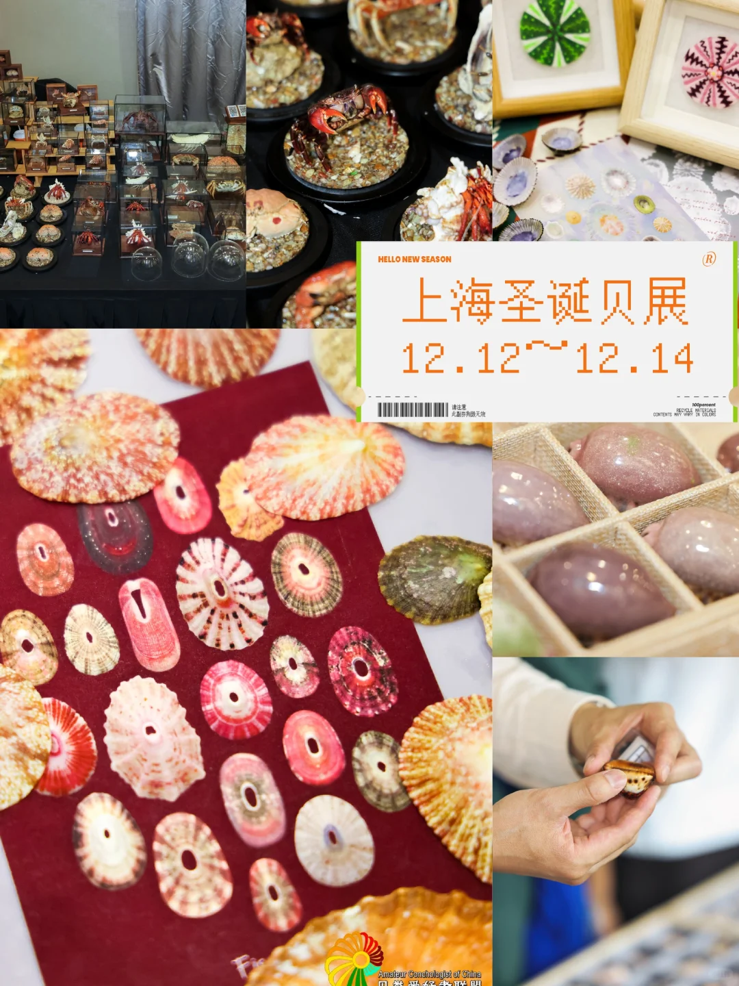 ?上海火热开展！?12.12-12.14贝壳展