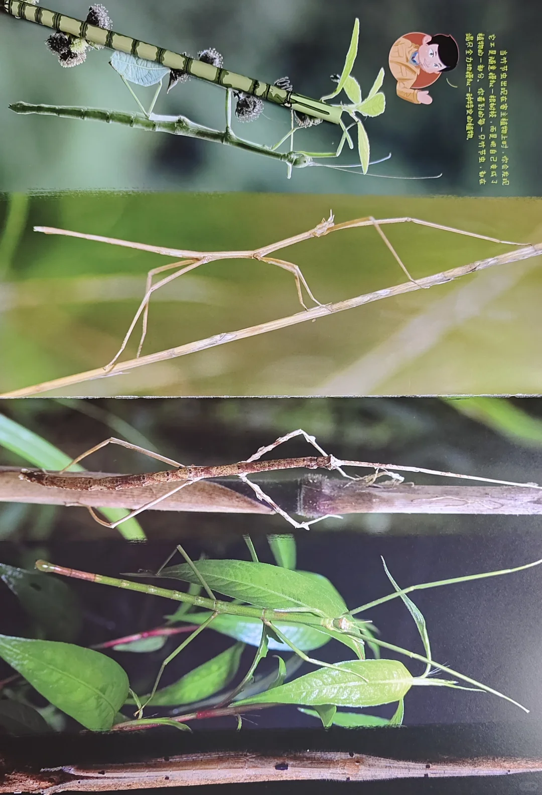 博物大发现 找找看