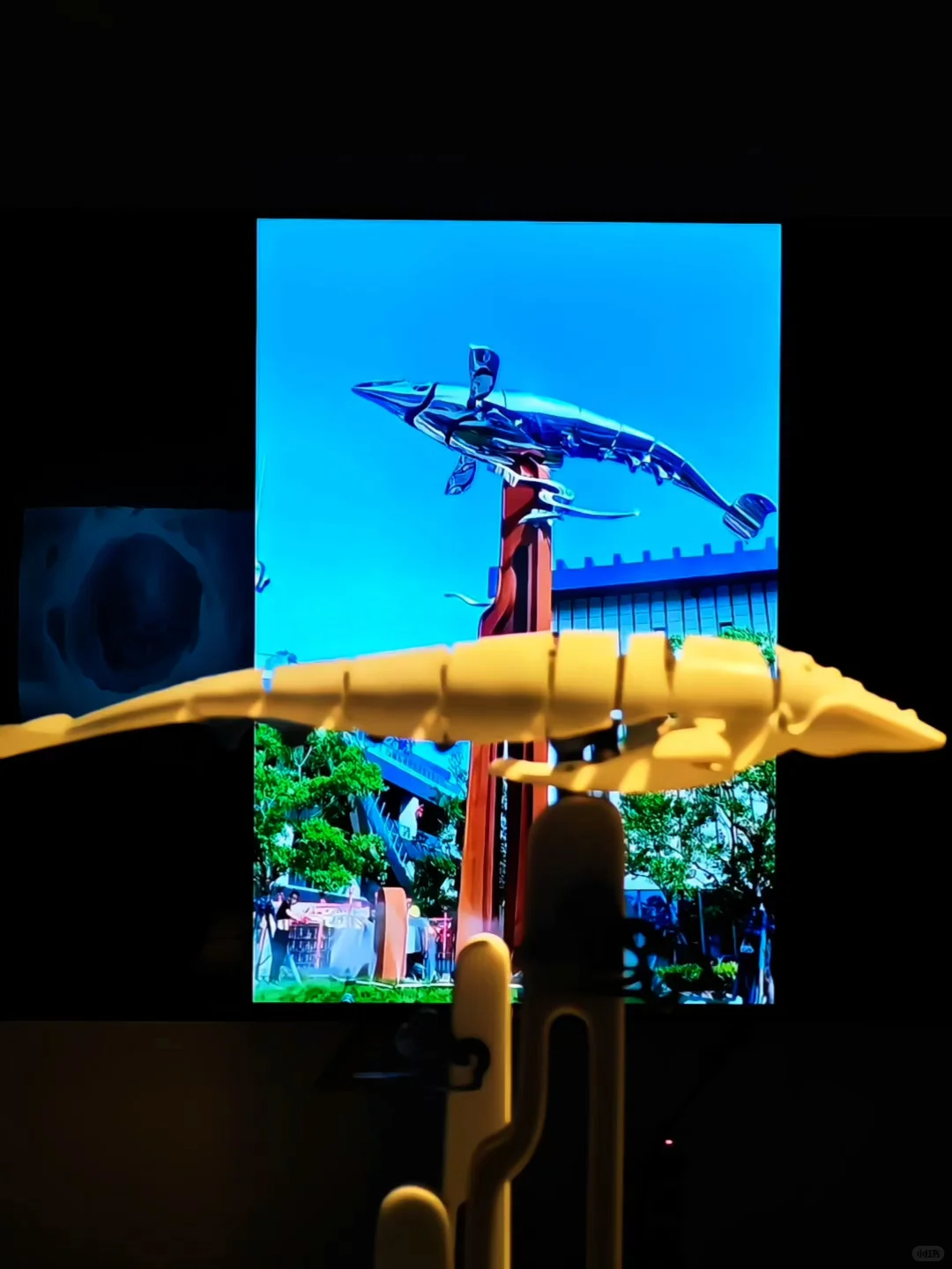 上海免费大展装置篇❗在数字光影中看见生命