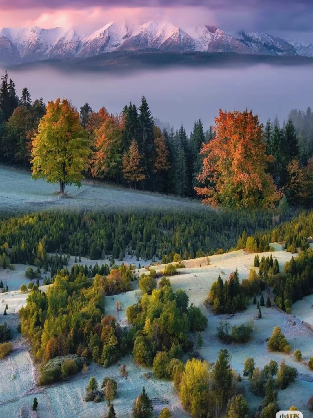历史厚重和极限刺激！旅交会看斯洛伐克展台