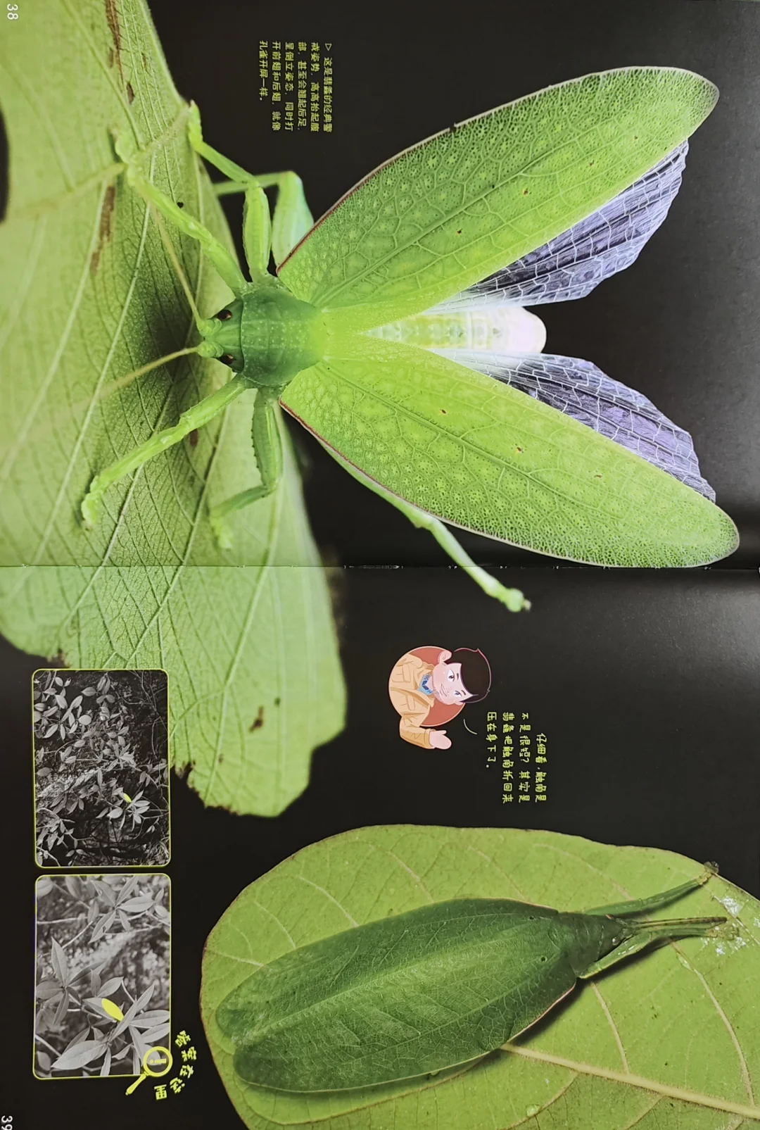 博物大发现 找找看