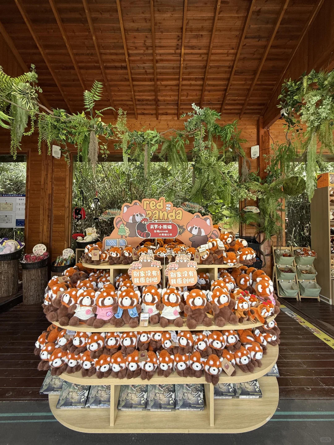 海南国际旅交会我来了✌️