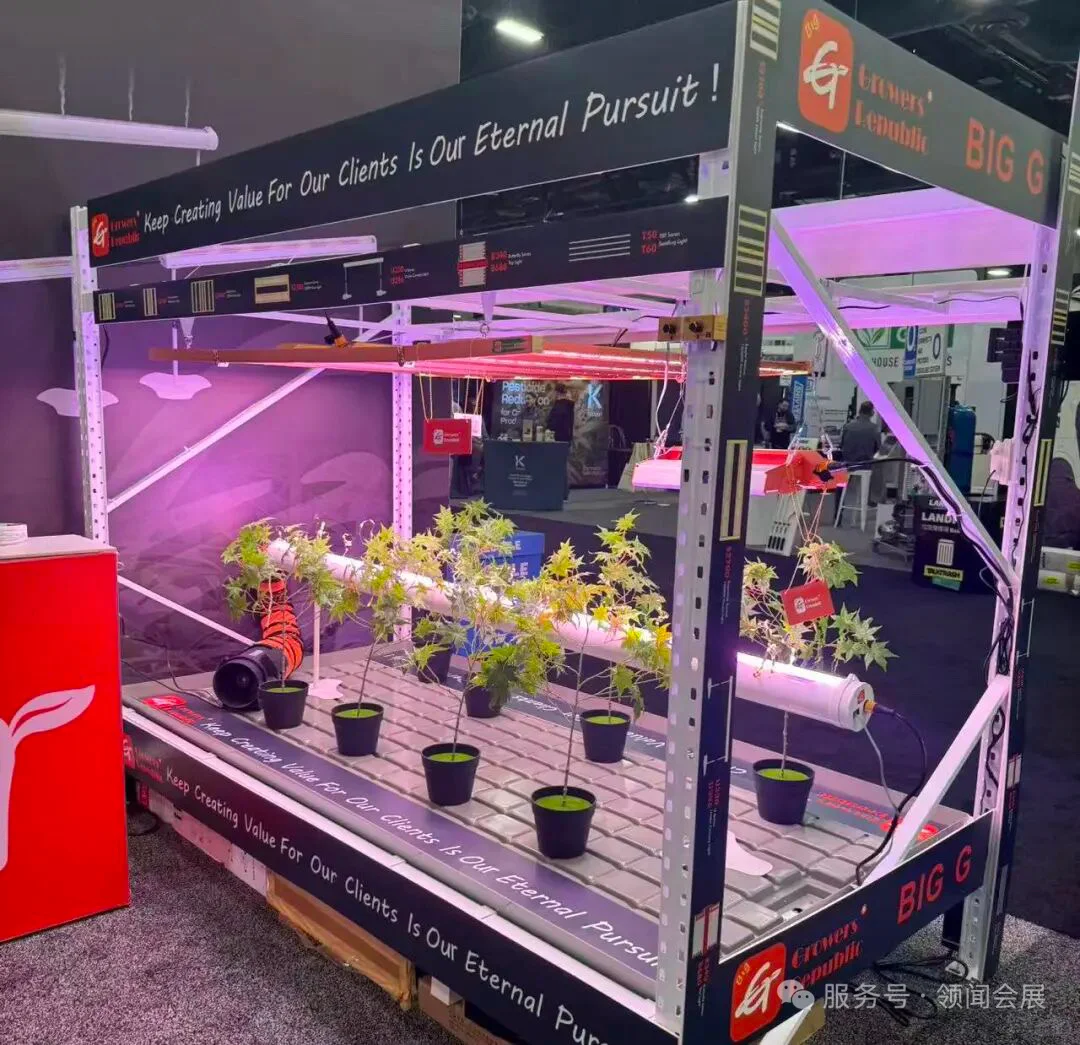 2026美国顶流工业大麻展?中国企业出海必冲