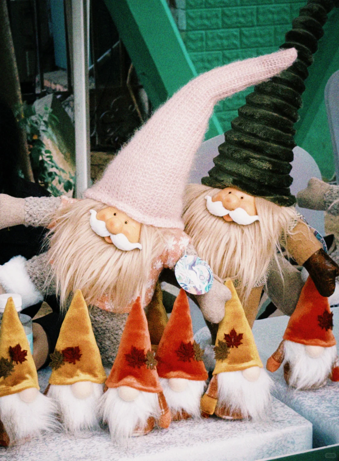 绣球花真好看???漳州东南花都