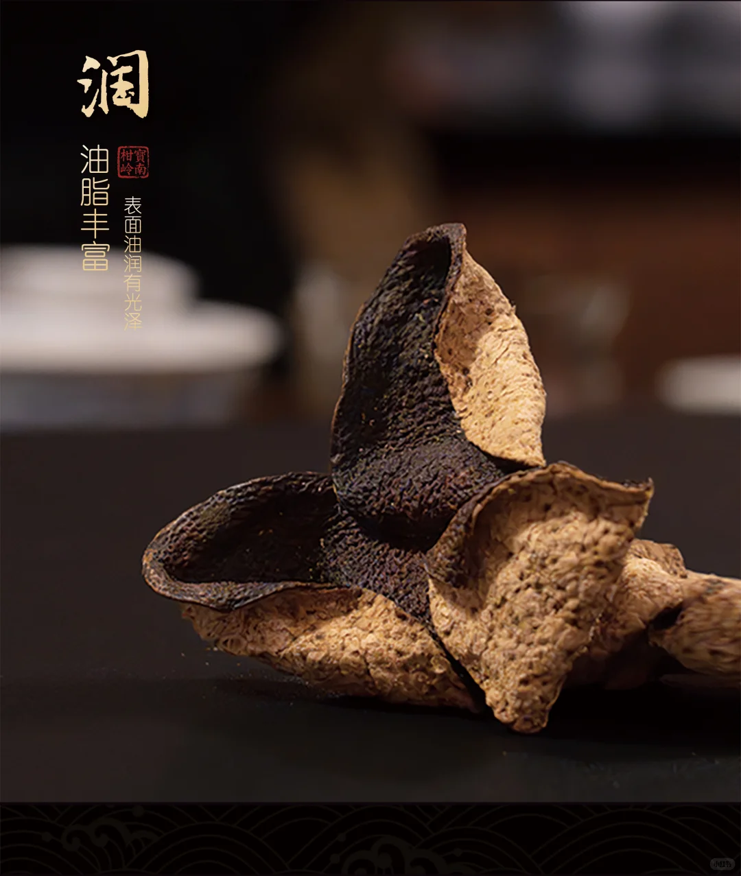 广州琶洲茶博会（陈皮展）