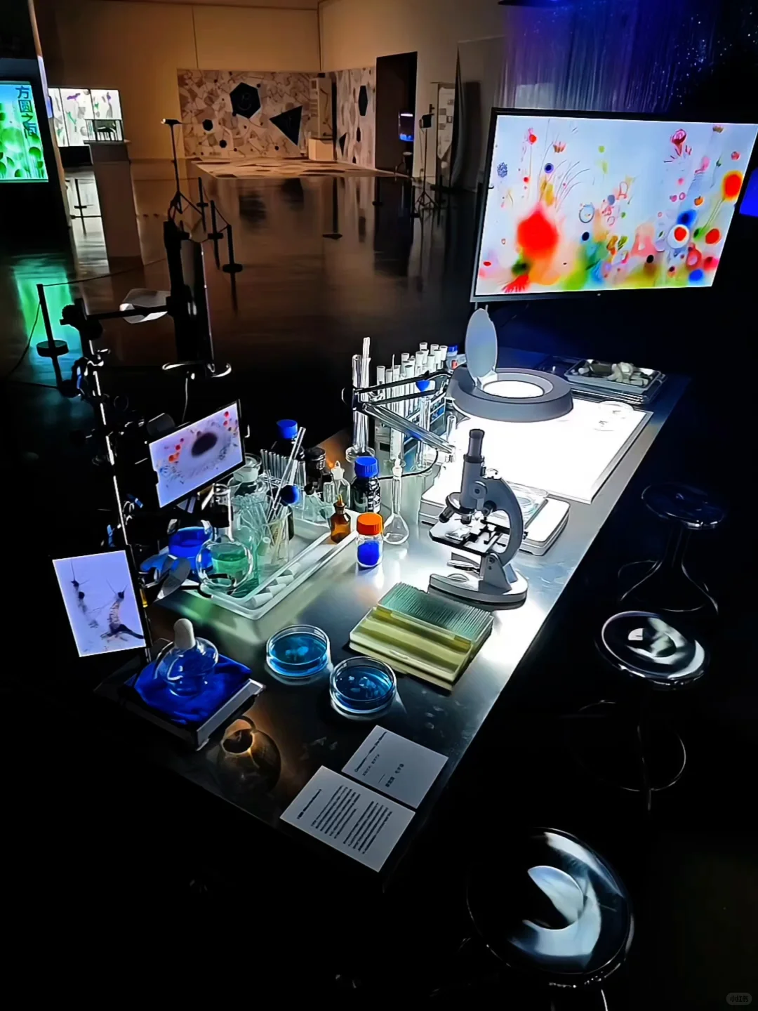 上海免费大展装置篇❗在数字光影中看见生命