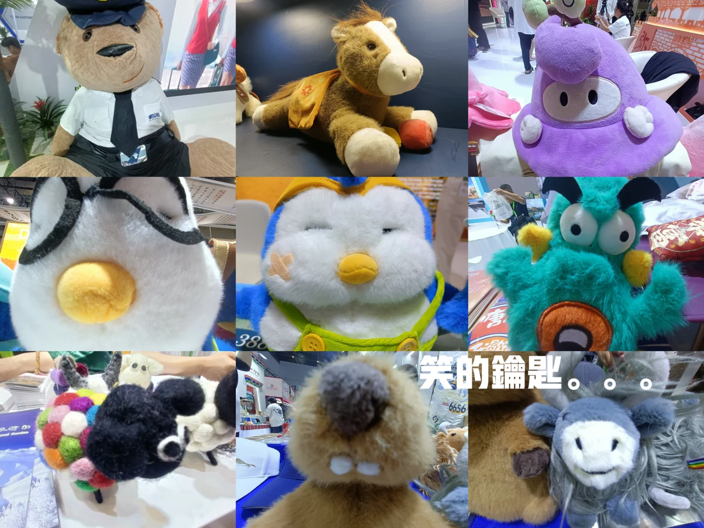 存档|2025海口中国国际旅游交易会