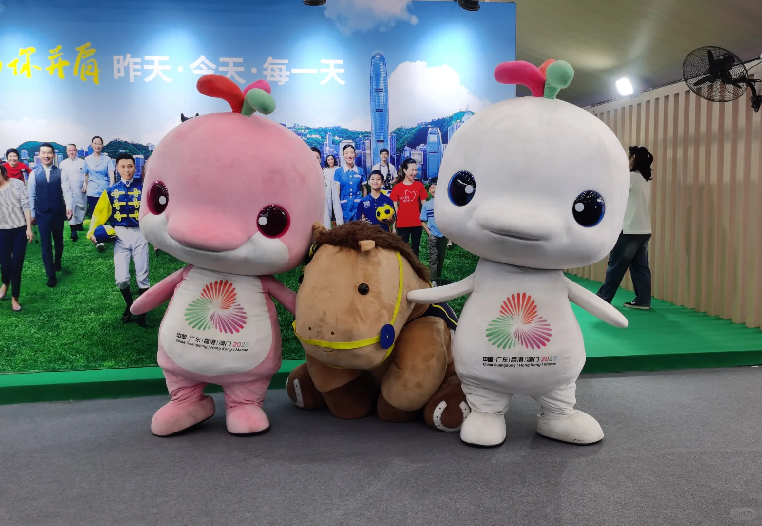 大湾鸡在文交会的第一天photos