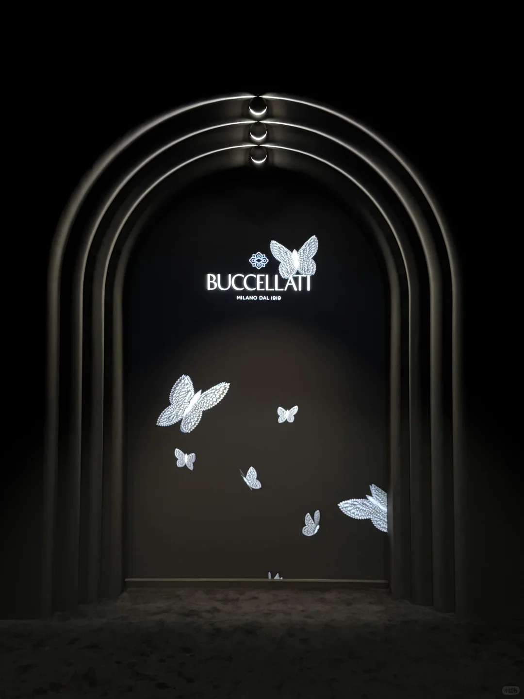 实探！布契拉提典藏上海展?抢先看！！