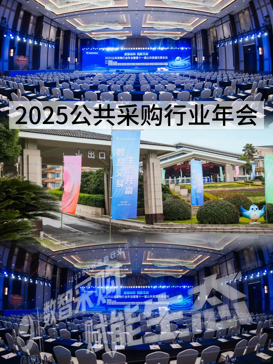 杭州活动策划❗️?2025公共采购年会