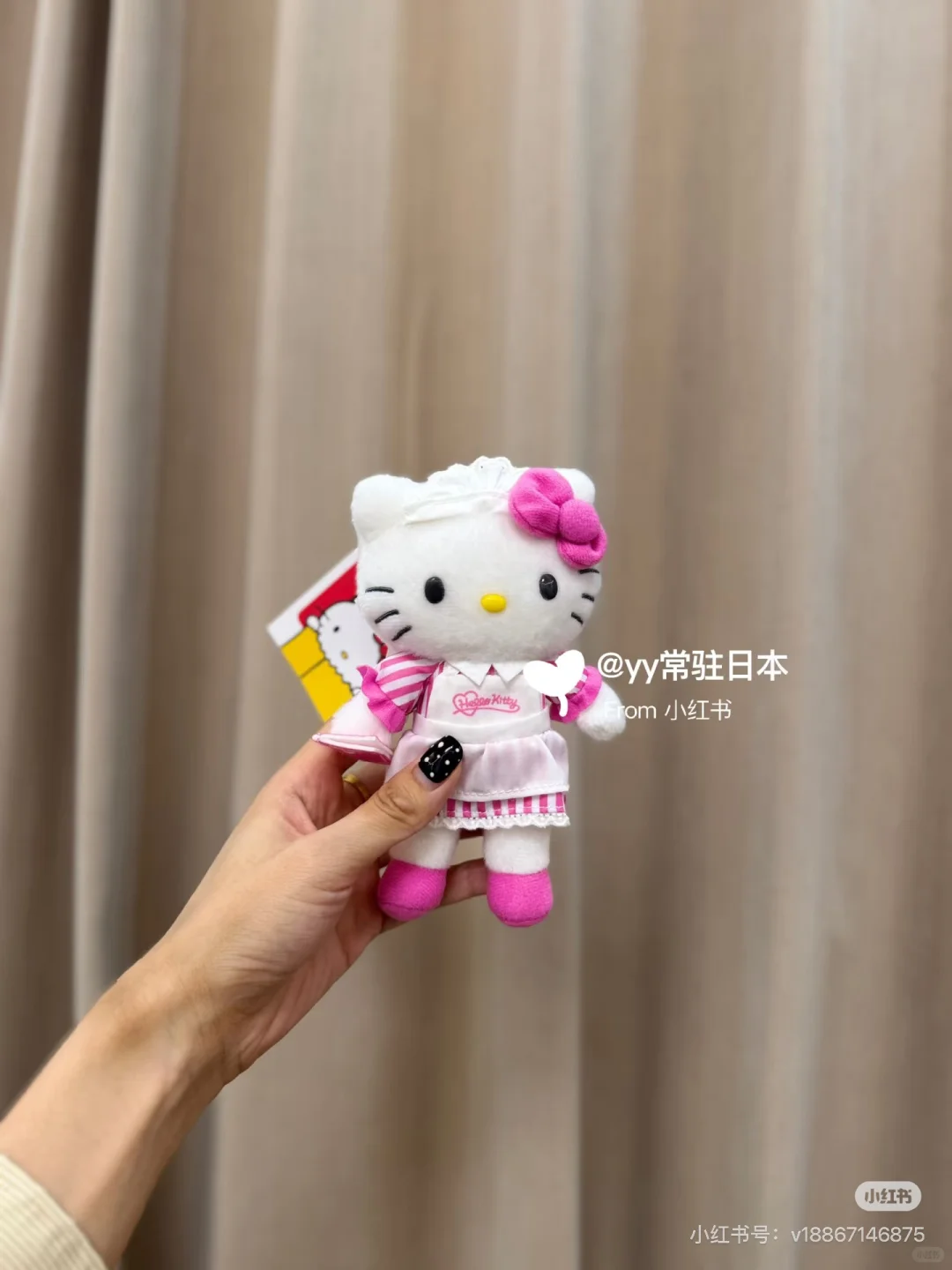 kitty展‼️下一站名古屋