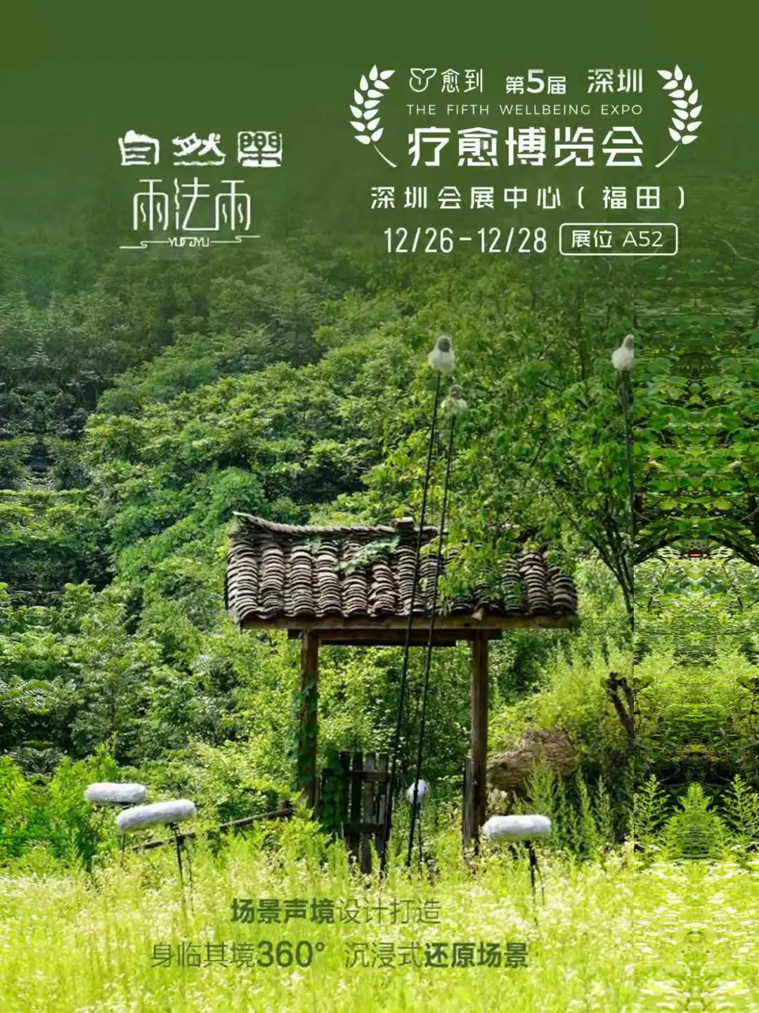 雨法雨：自然原声疗愈之境