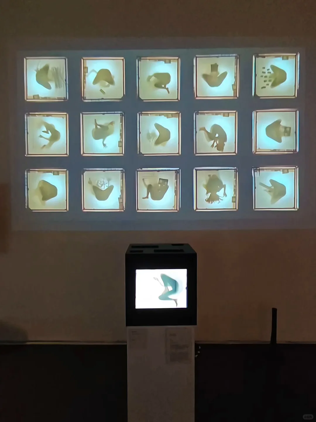 上海免费大展装置篇❗在数字光影中看见生命