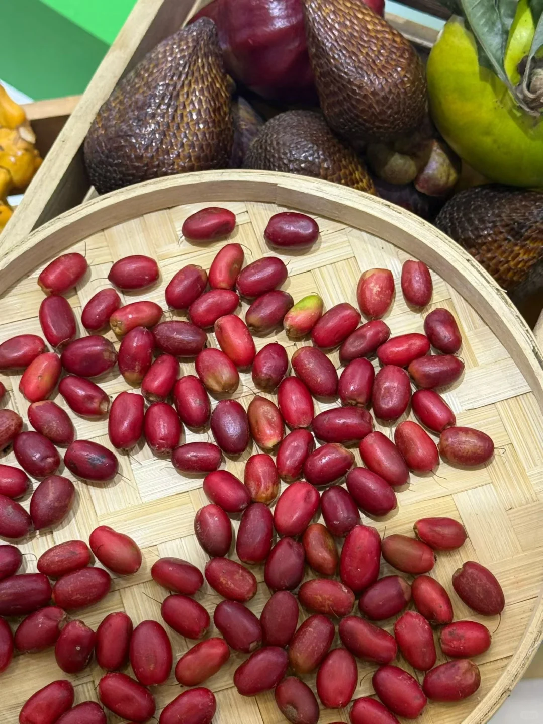 海南国际旅游交易会