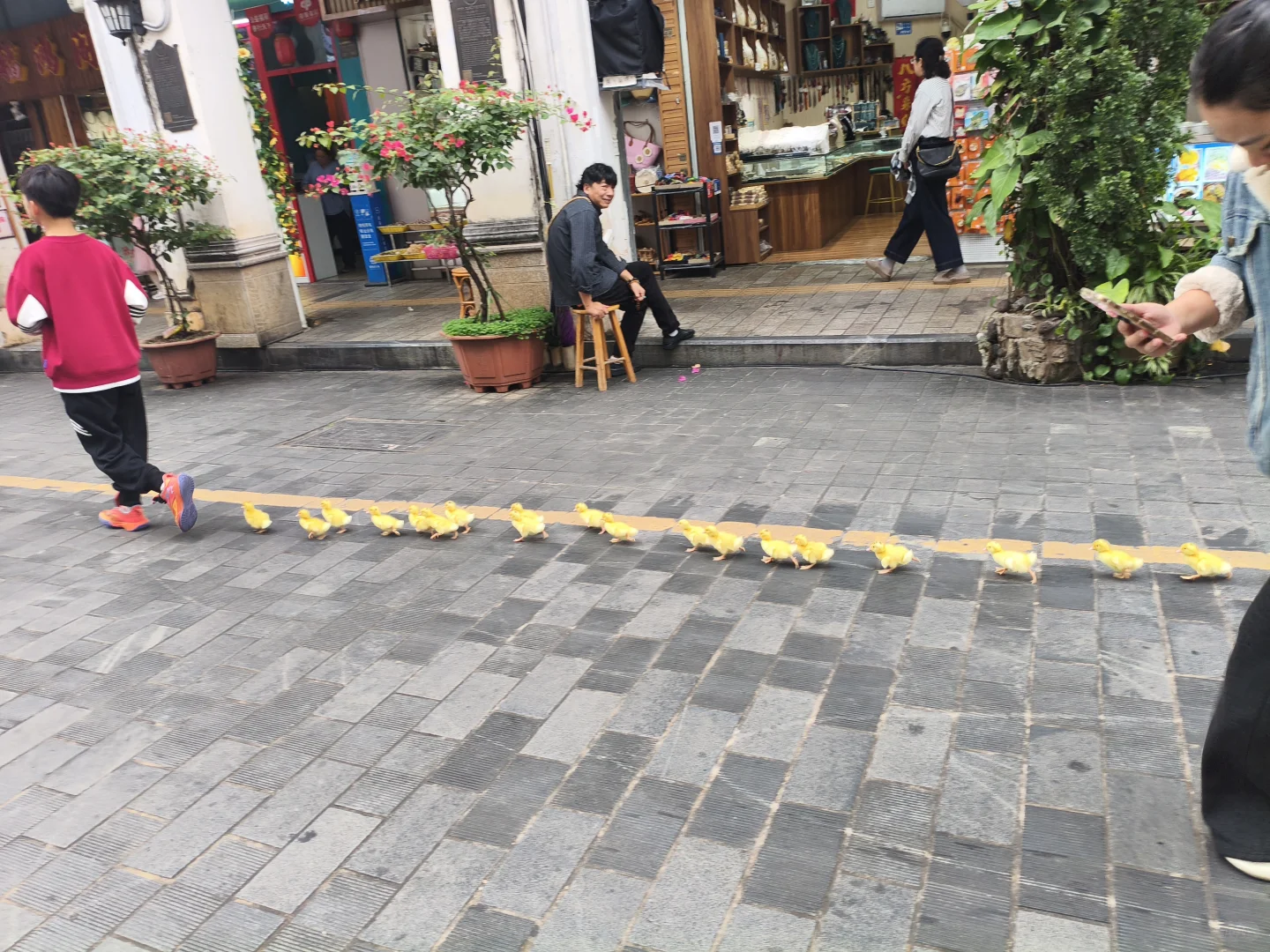 海南 ！CITM国际旅游交易会