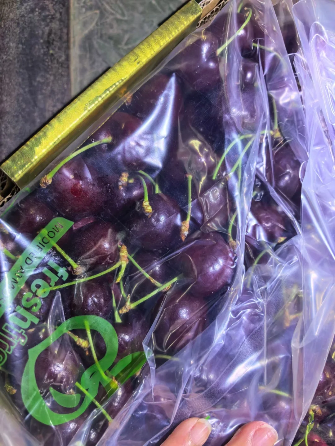 海吉星采购车厘子??