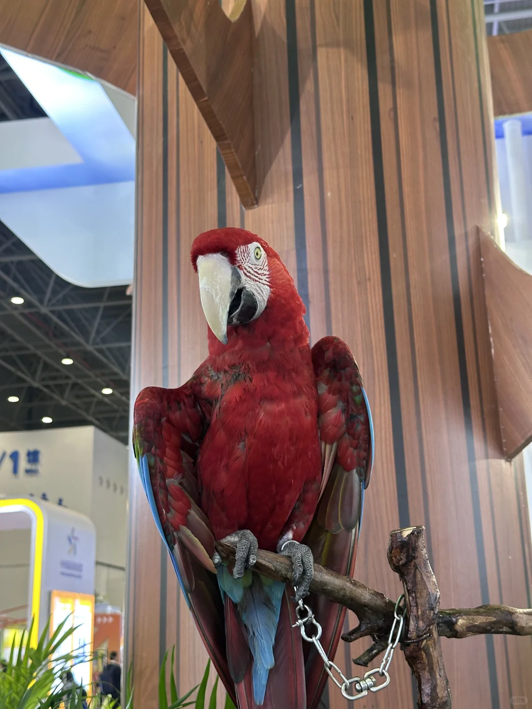 海口首届旅交会逛展&打卡拿礼物指南