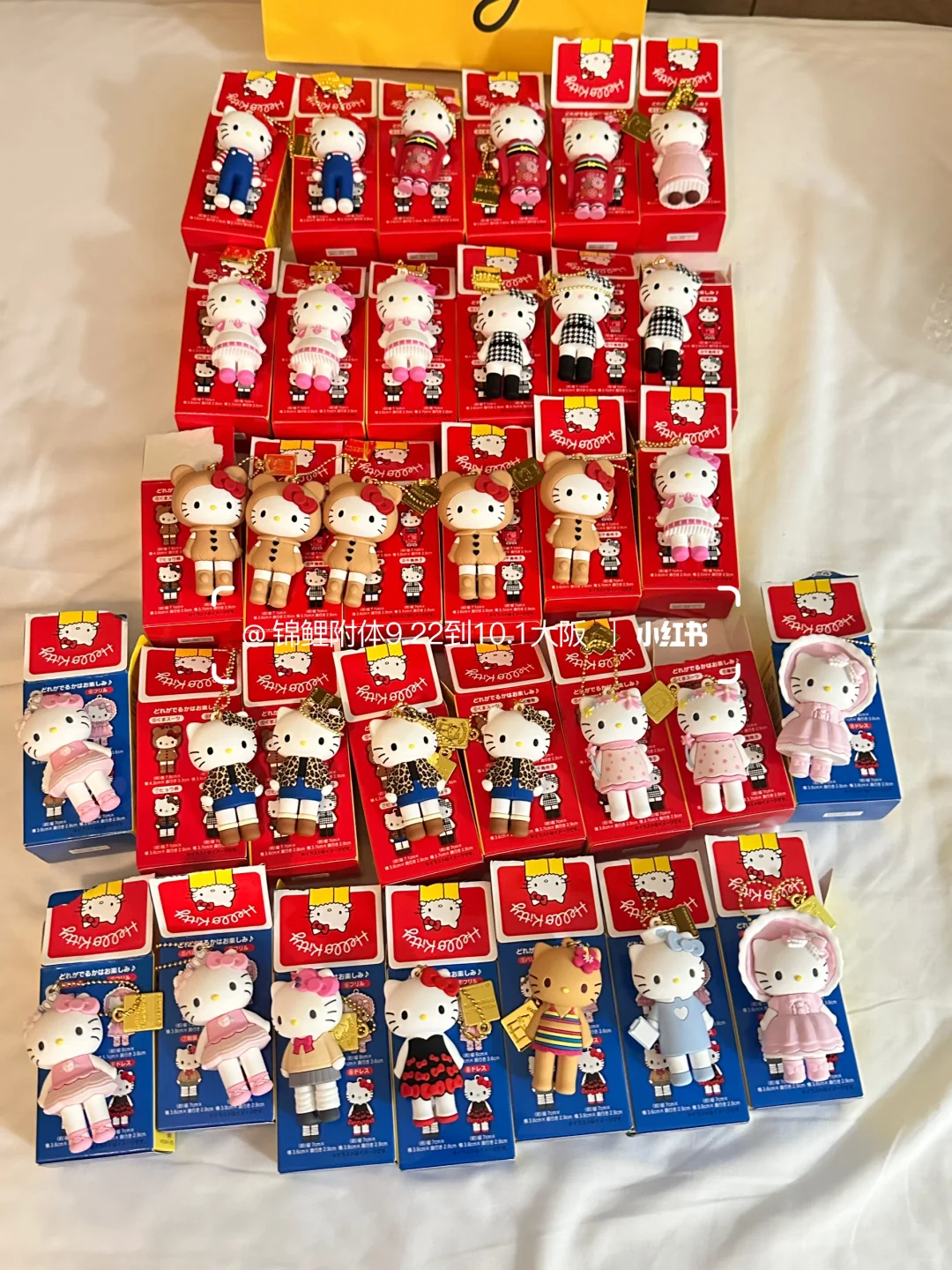 三混端出5个泰迪这对吗？