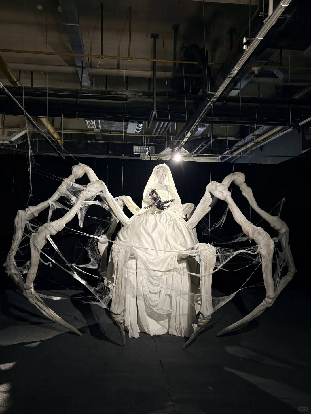 武汉新展！！简直是造梦天堂！！