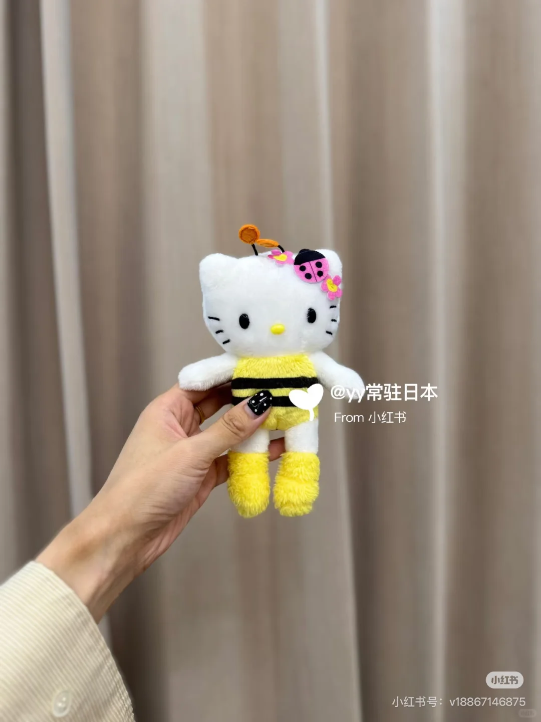 kitty展‼️下一站名古屋