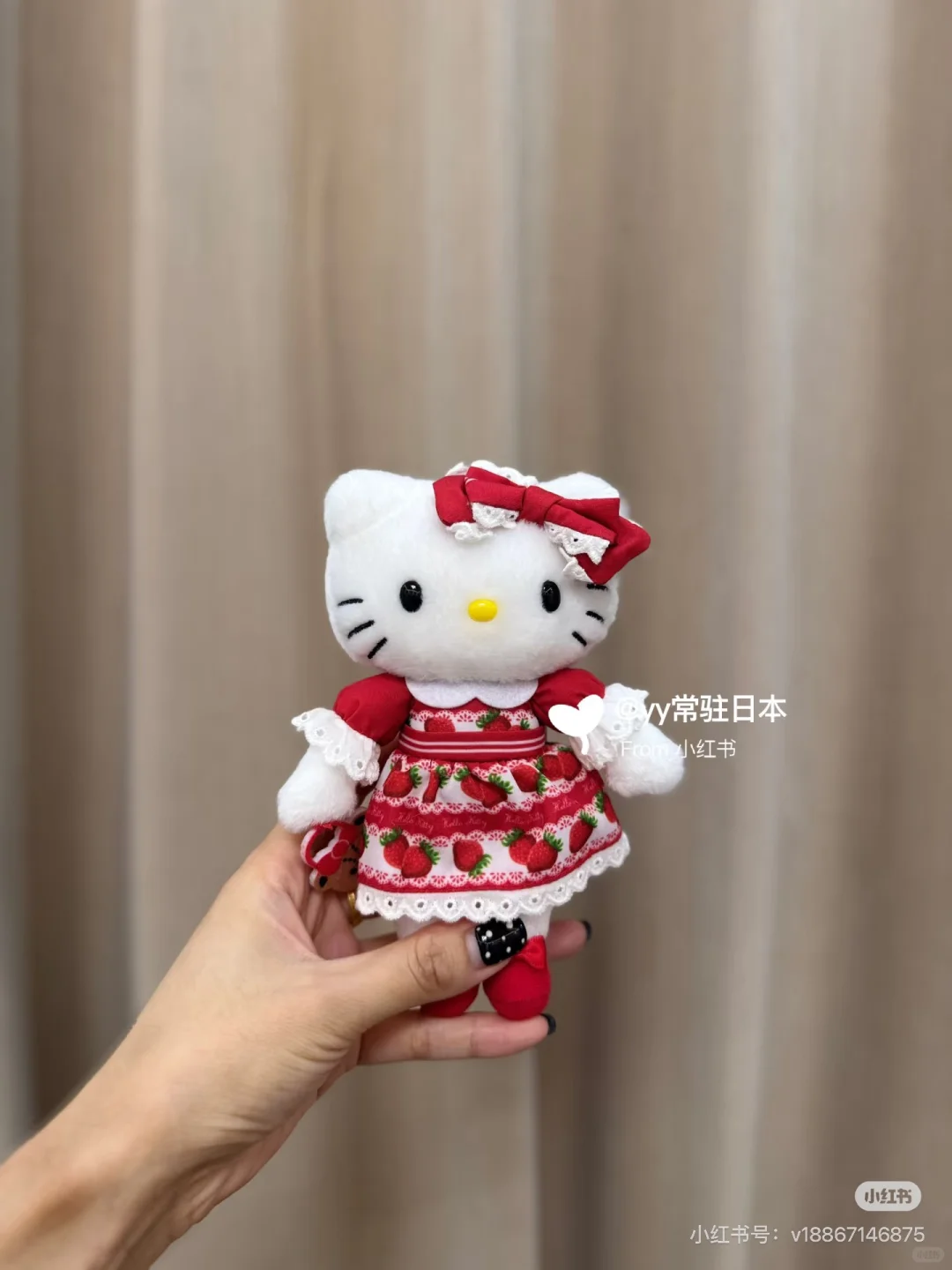 kitty展‼️下一站名古屋