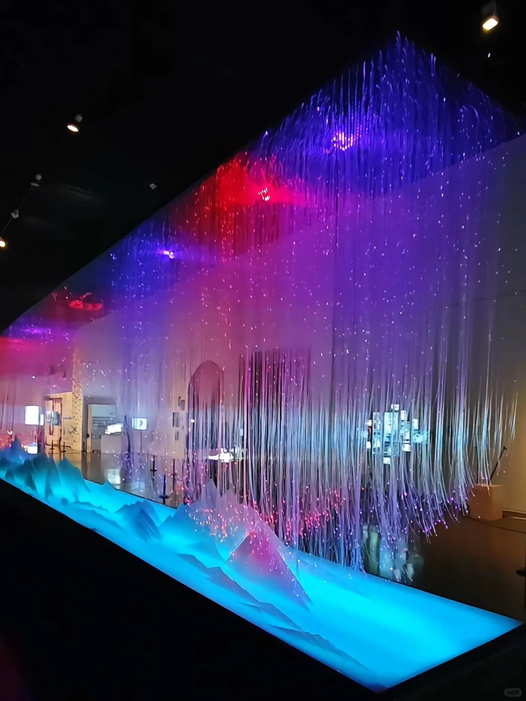 上海免费大展装置篇❗在数字光影中看见生命