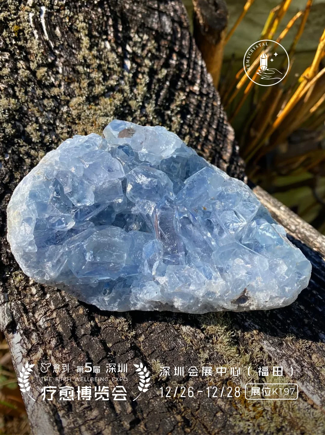 晶耀全球 诚筑匠心