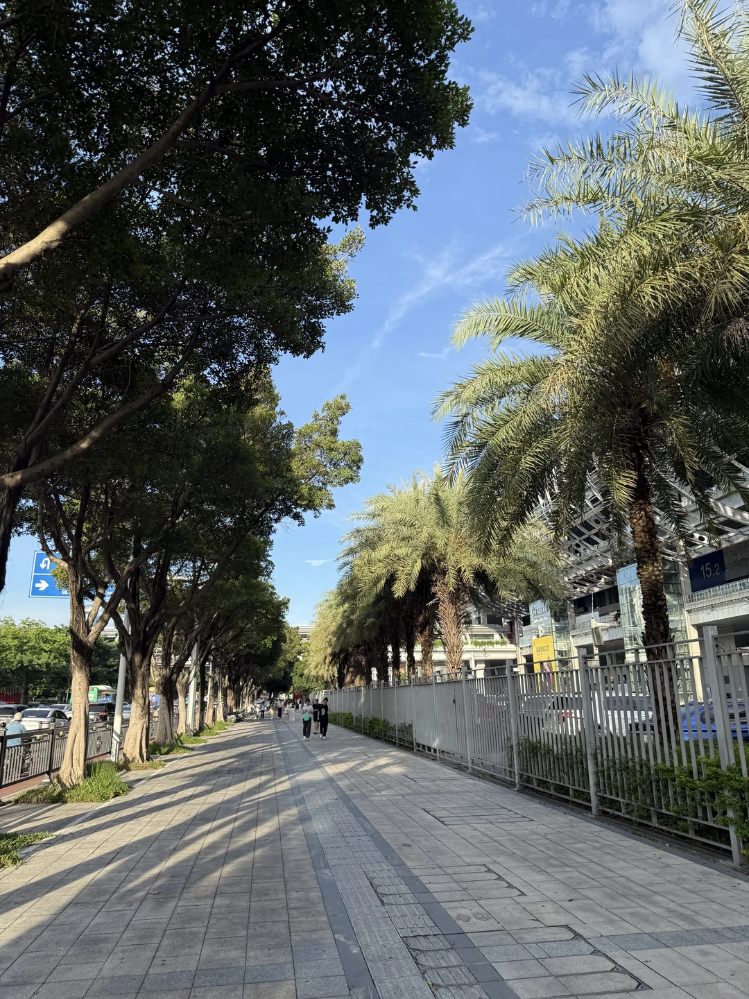 大学生暑假兼职展会翻译记