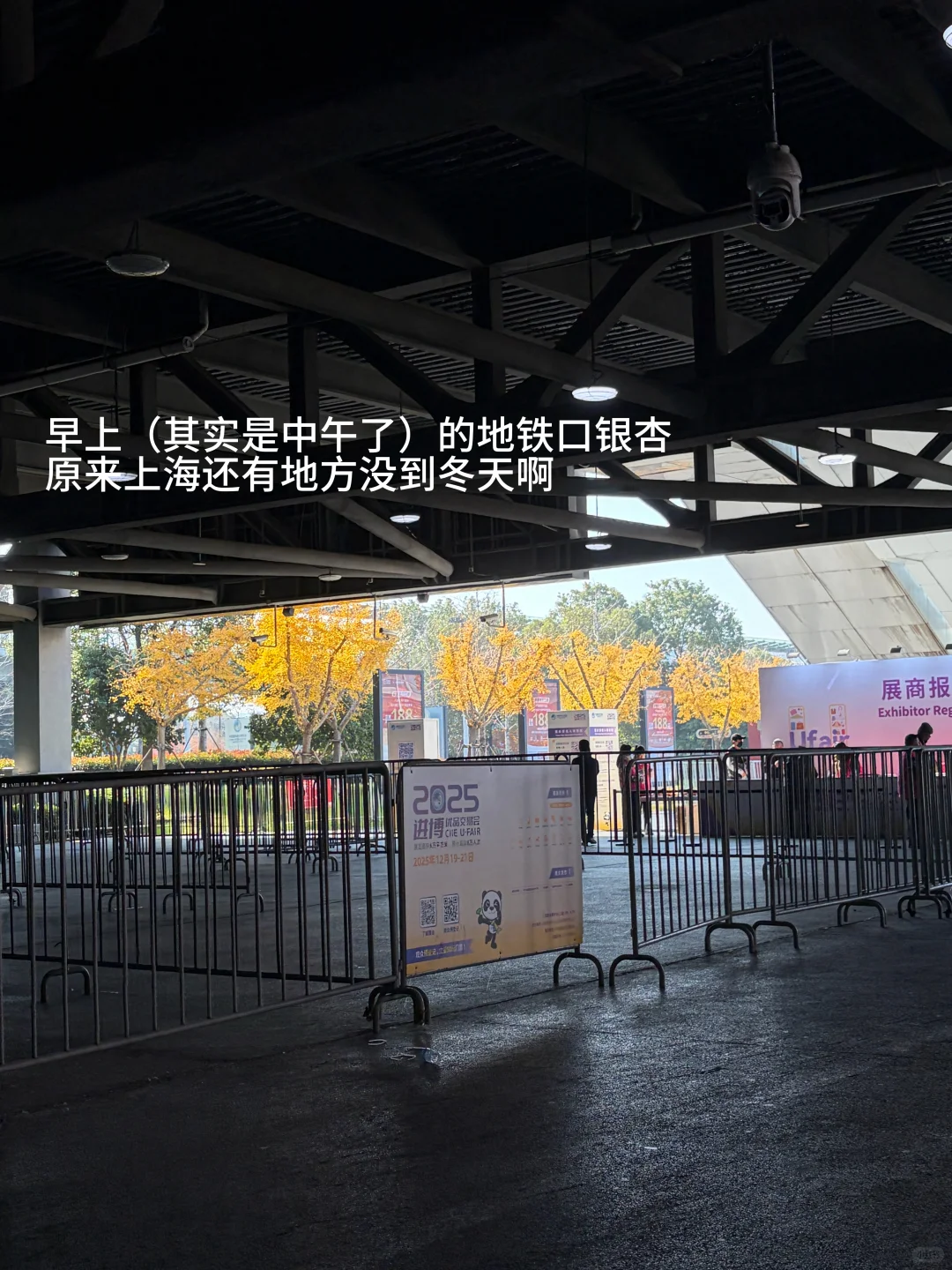 24外企管培轮岗期被裁plog｜进博会不算完了