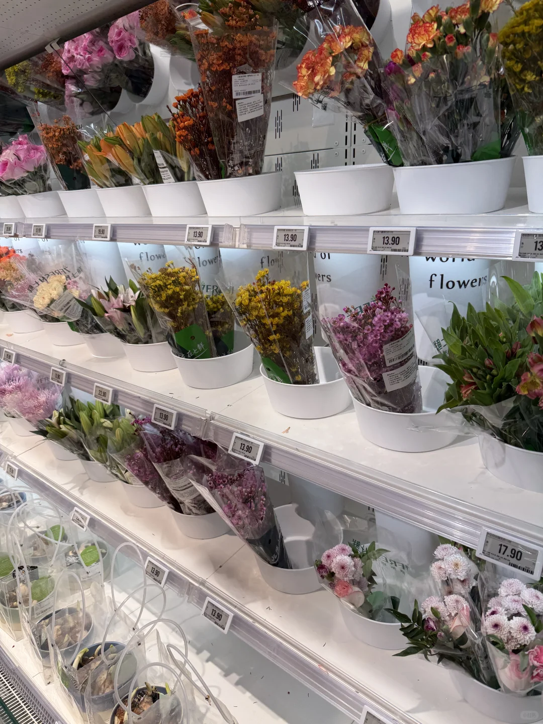 京东七鲜石家庄首店！