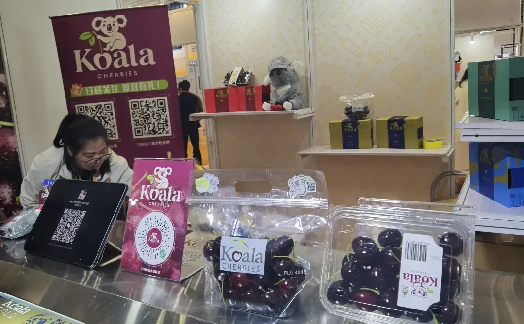 我们不见不散！车厘子车厘子