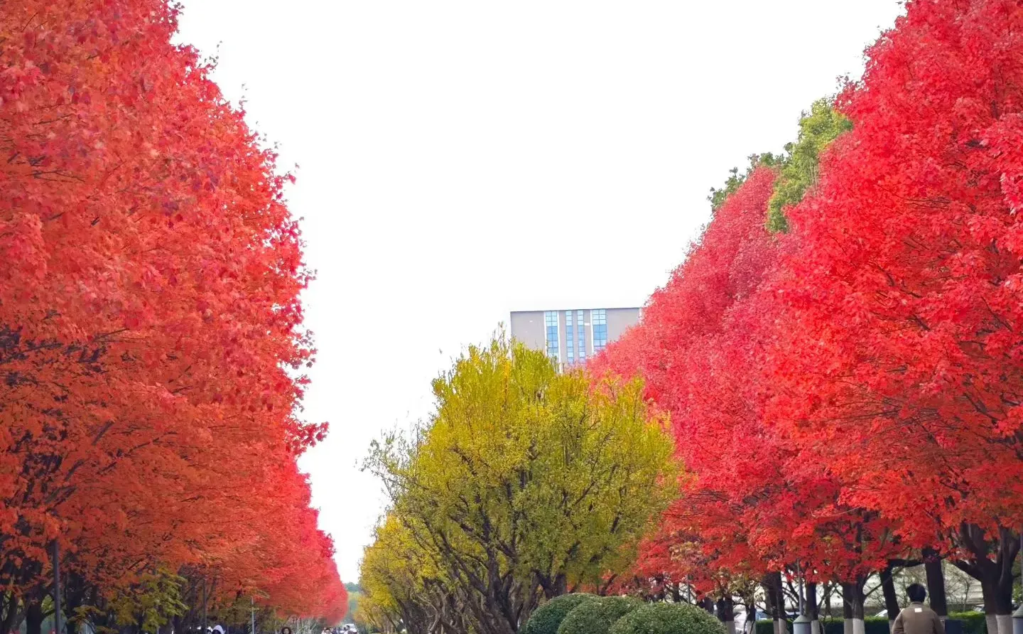 SAPA-CT最强年会明天正式开始!小板凳坐好!