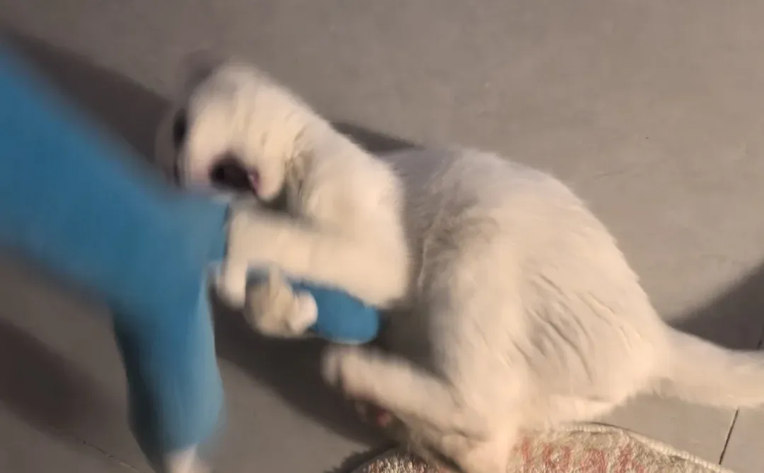 一月一号开门红咦咦咦