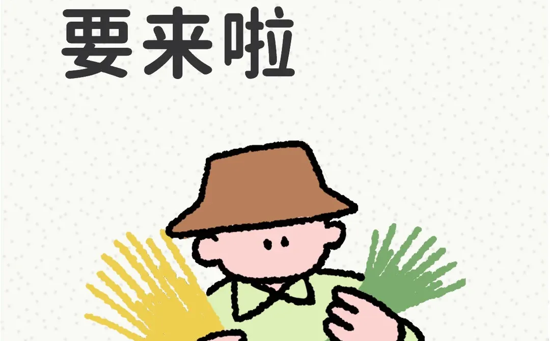 年货节即将来临